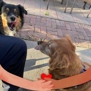 Meet your Posher, Jerry